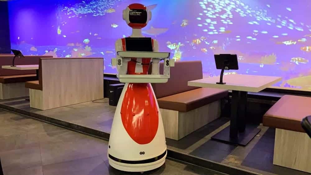 robot ristorante cina