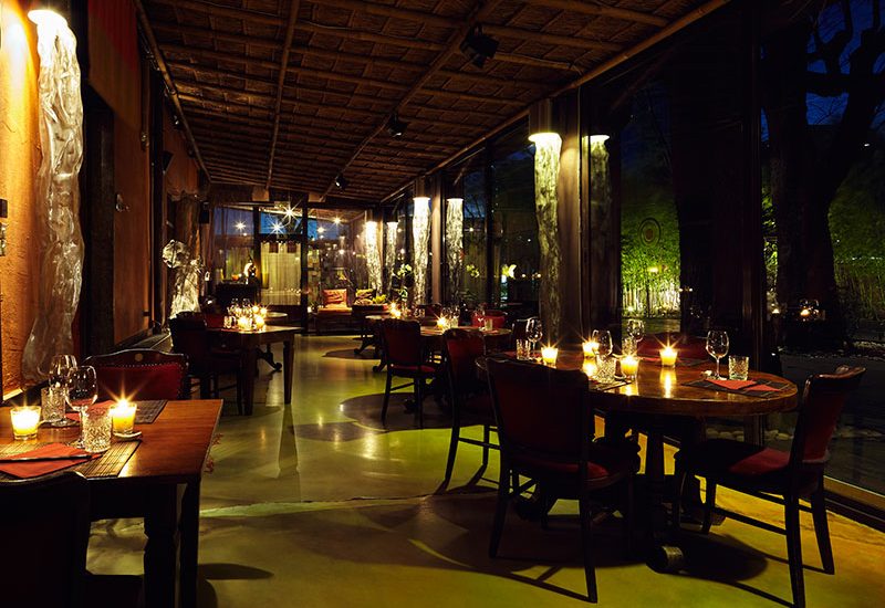 Shambala: enjoy noodles among the bamboo reeds, a stone’s throw from Milan